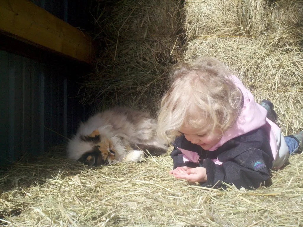 A Day in the Life of a Ranch Babe