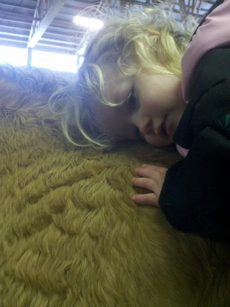 A Day in the Life of a Ranch Babe