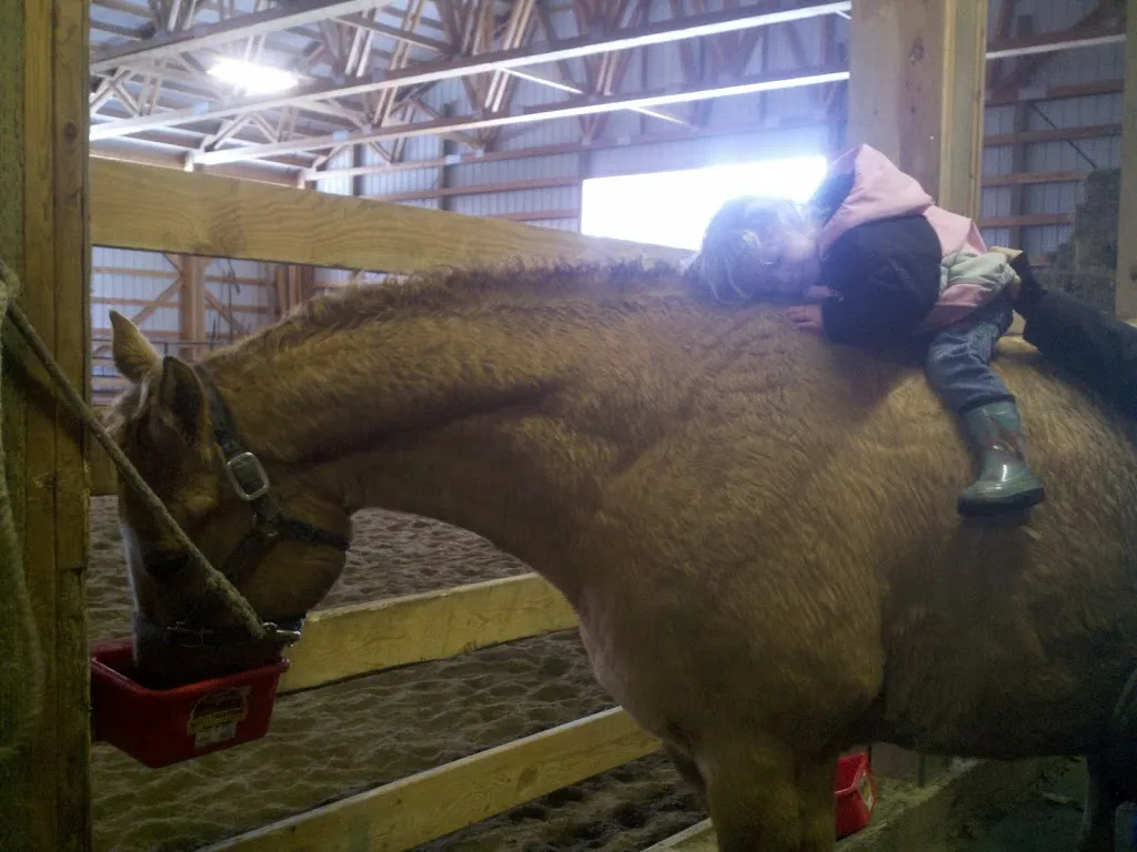 A Day in the Life of a Ranch Babe