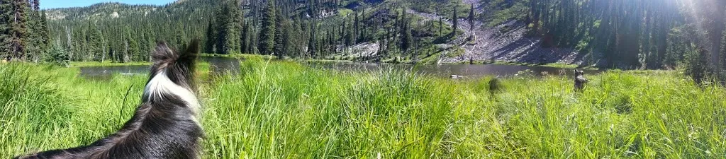 A Fall Ride on the Moose Mountain Trail