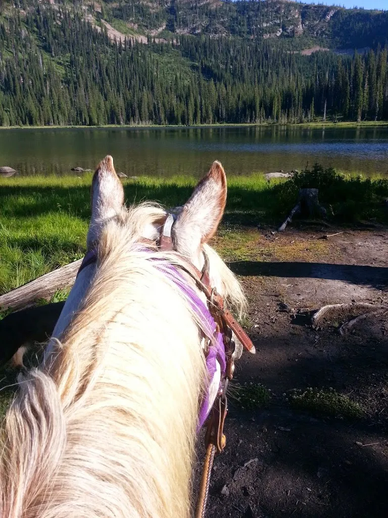 A Fall Ride on the Moose Mountain Trail
