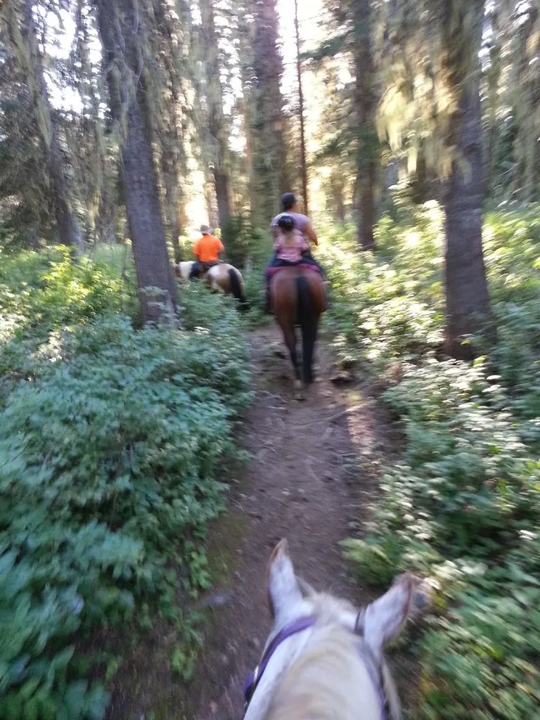 A Fall Ride on the Moose Mountain Trail
