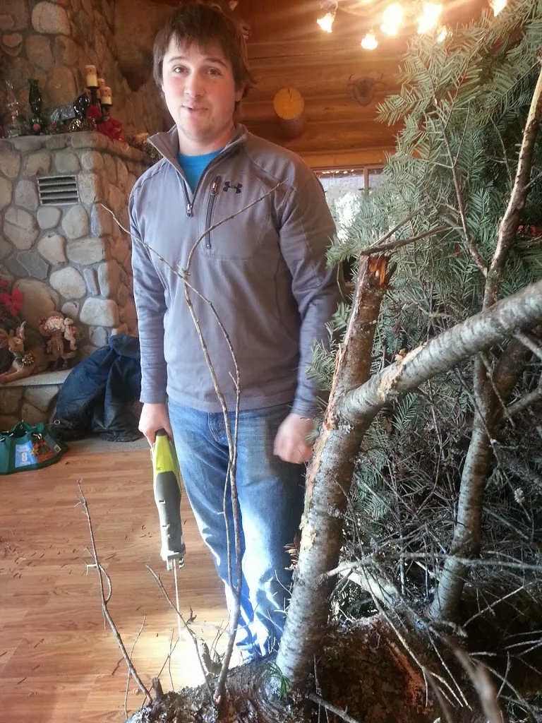 Oh Christmas Tree, Oh Christmas Tree...You Are REALLY Big!