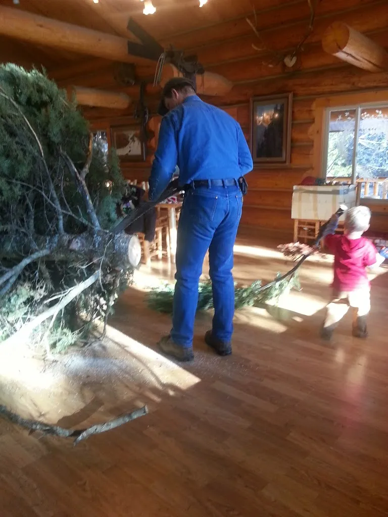 Oh Christmas Tree, Oh Christmas Tree...You Are REALLY Big!