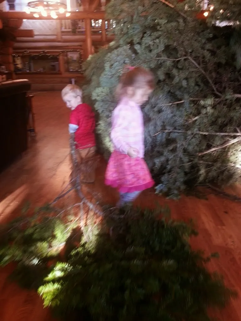 Oh Christmas Tree, Oh Christmas Tree...You Are REALLY Big!