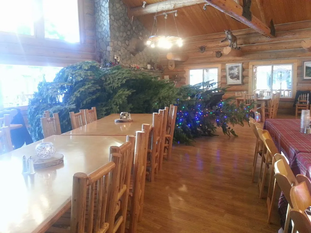 Oh Christmas Tree, Oh Christmas Tree...You Are REALLY Big!