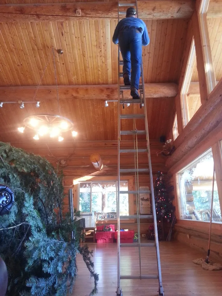 Oh Christmas Tree, Oh Christmas Tree...You Are REALLY Big!