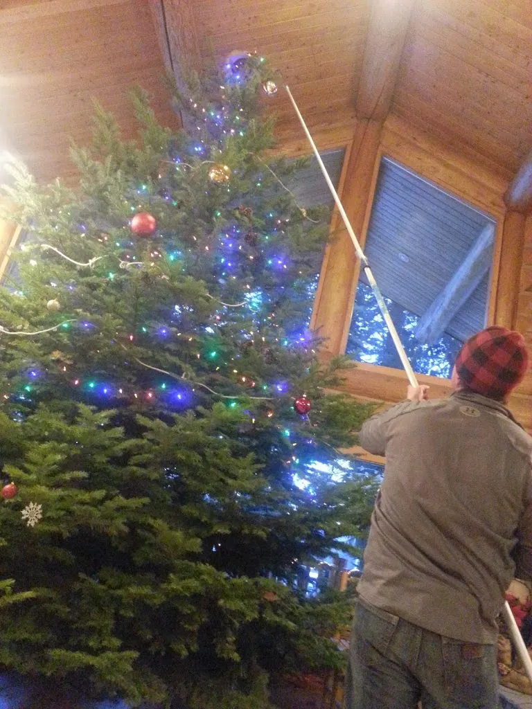 Oh Christmas Tree, Oh Christmas Tree...You Are REALLY Big!