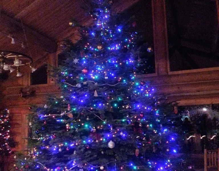 Goodbye Mega Tree
