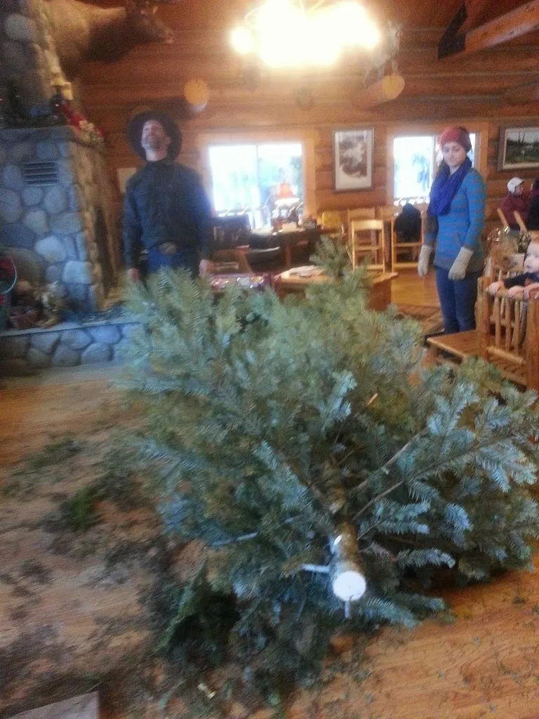 Goodbye Mega Tree