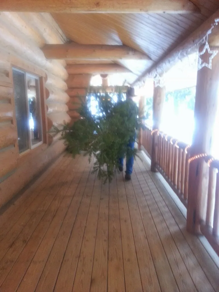 Goodbye Mega Tree