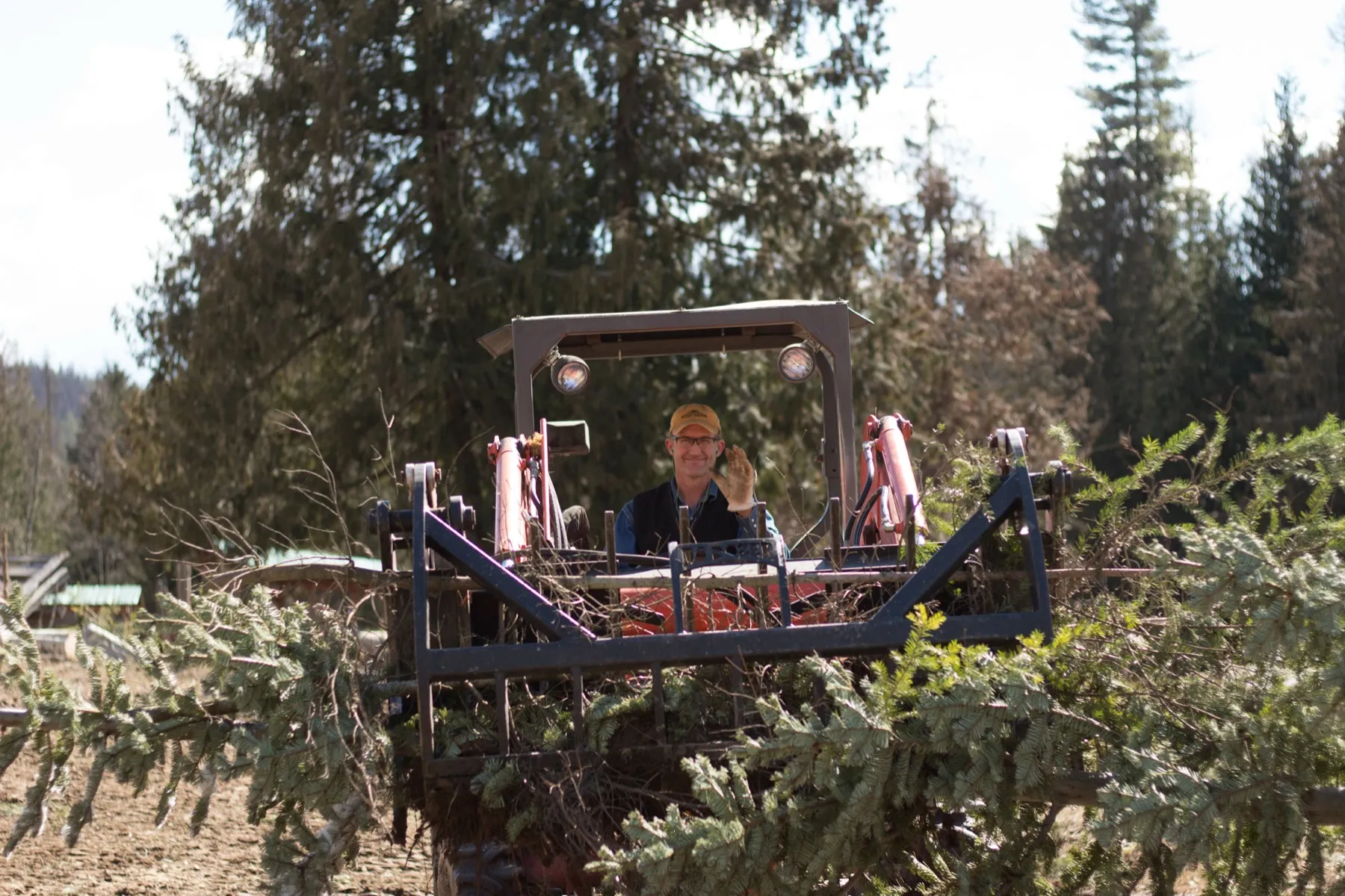 Western Pleasure Guest Ranch