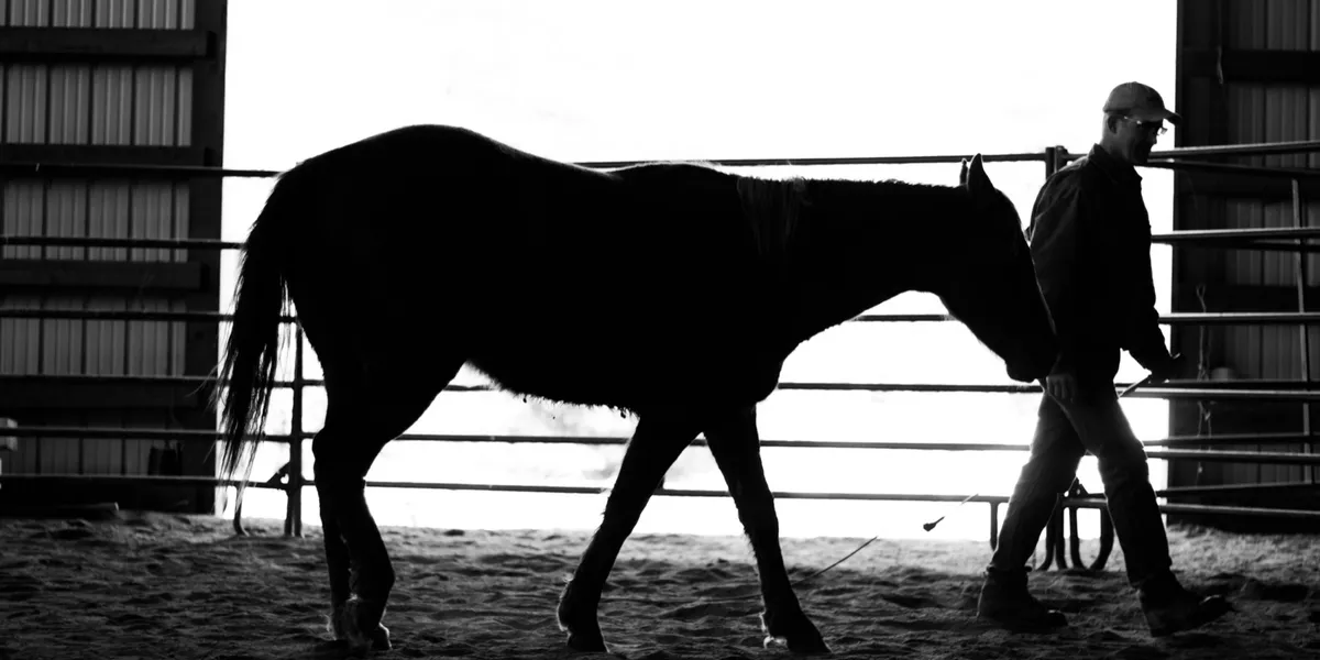Colt Starting Photo Blog