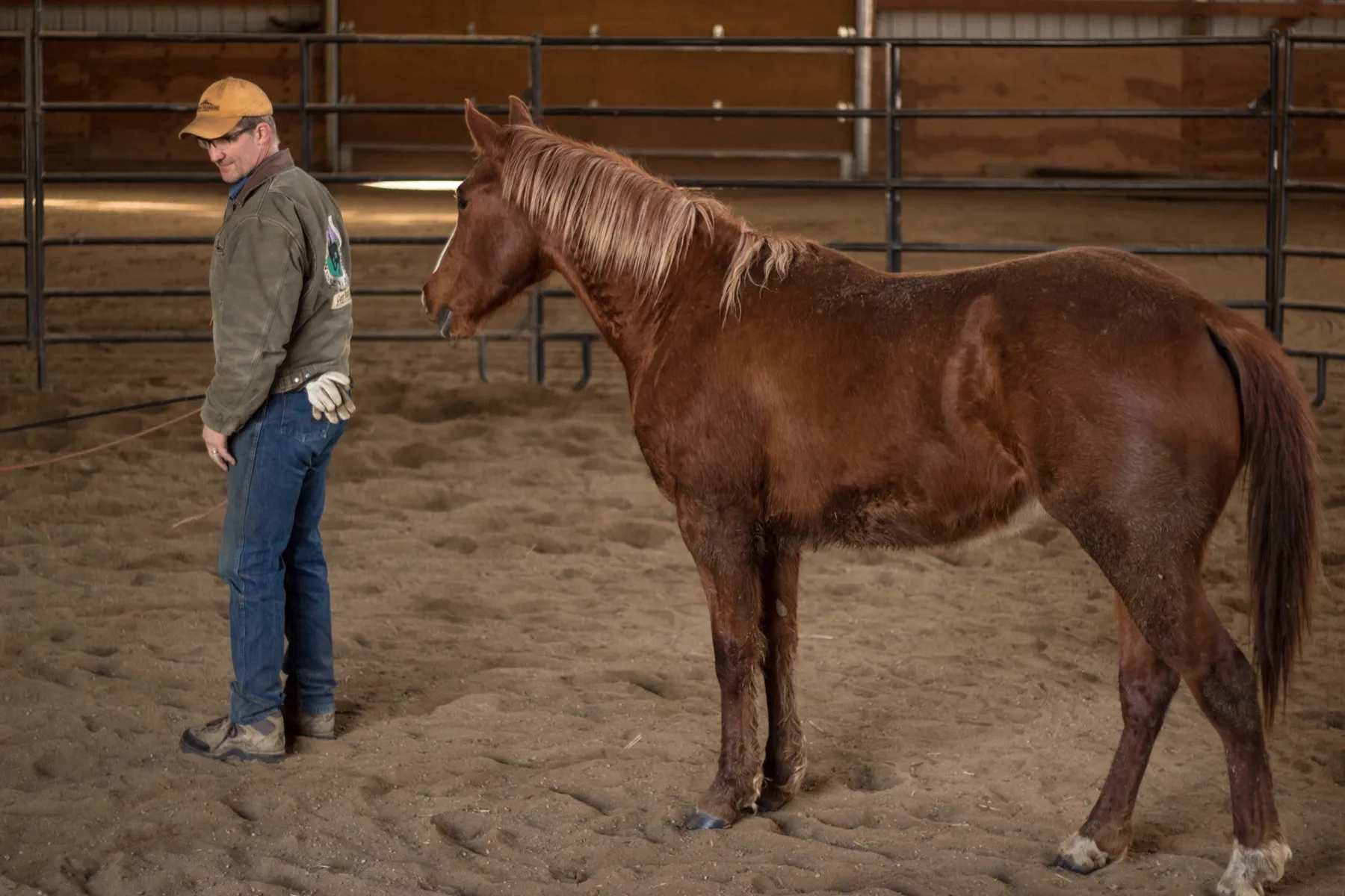 Western Pleasure Guest Ranch
