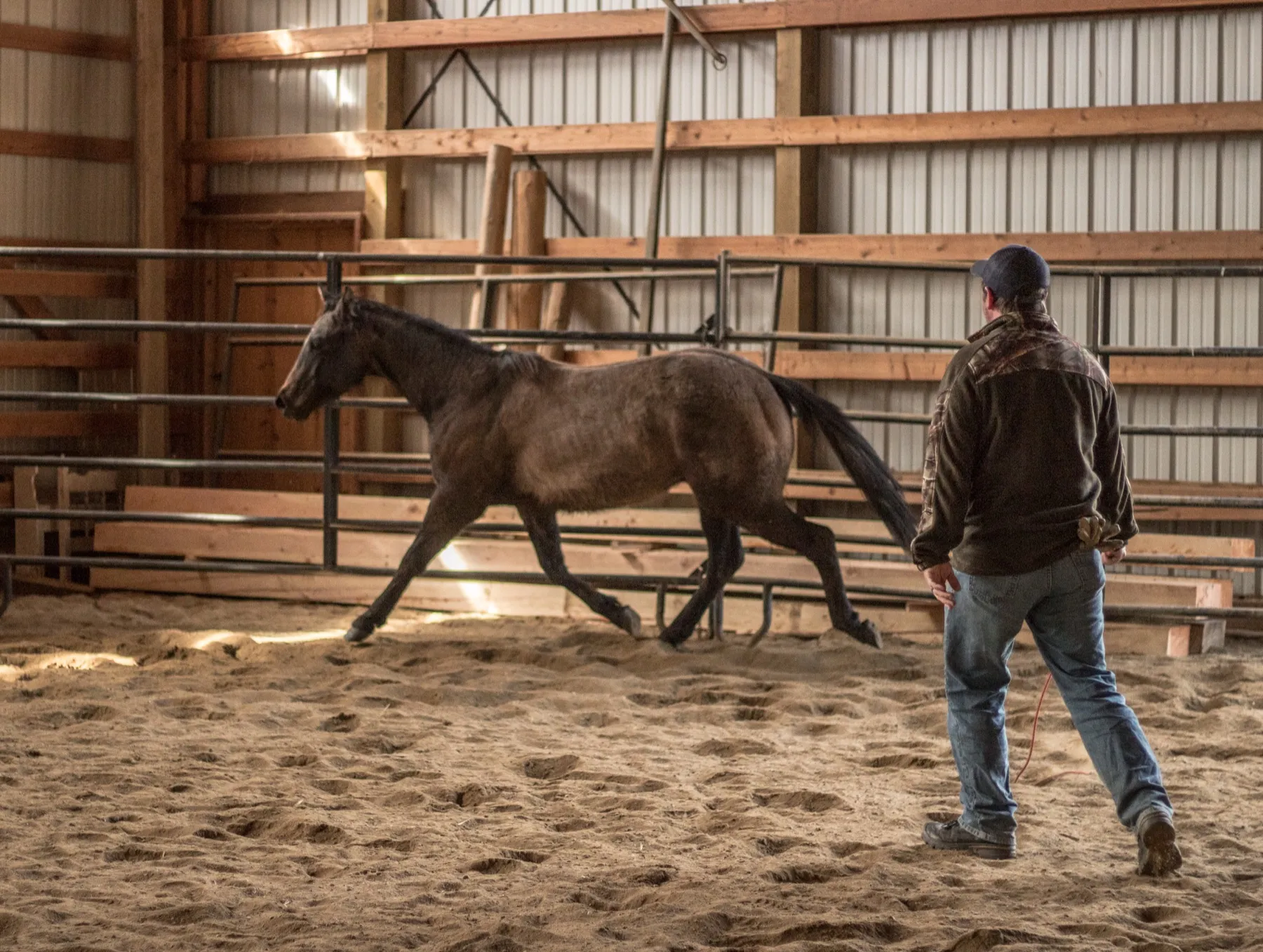 Western Pleasure Guest Ranch