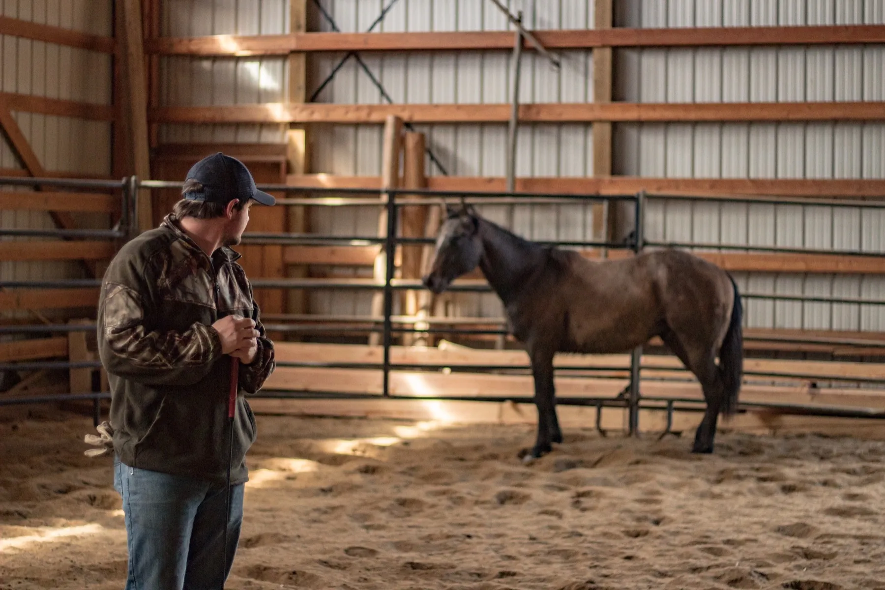 Western Pleasure Guest Ranch
