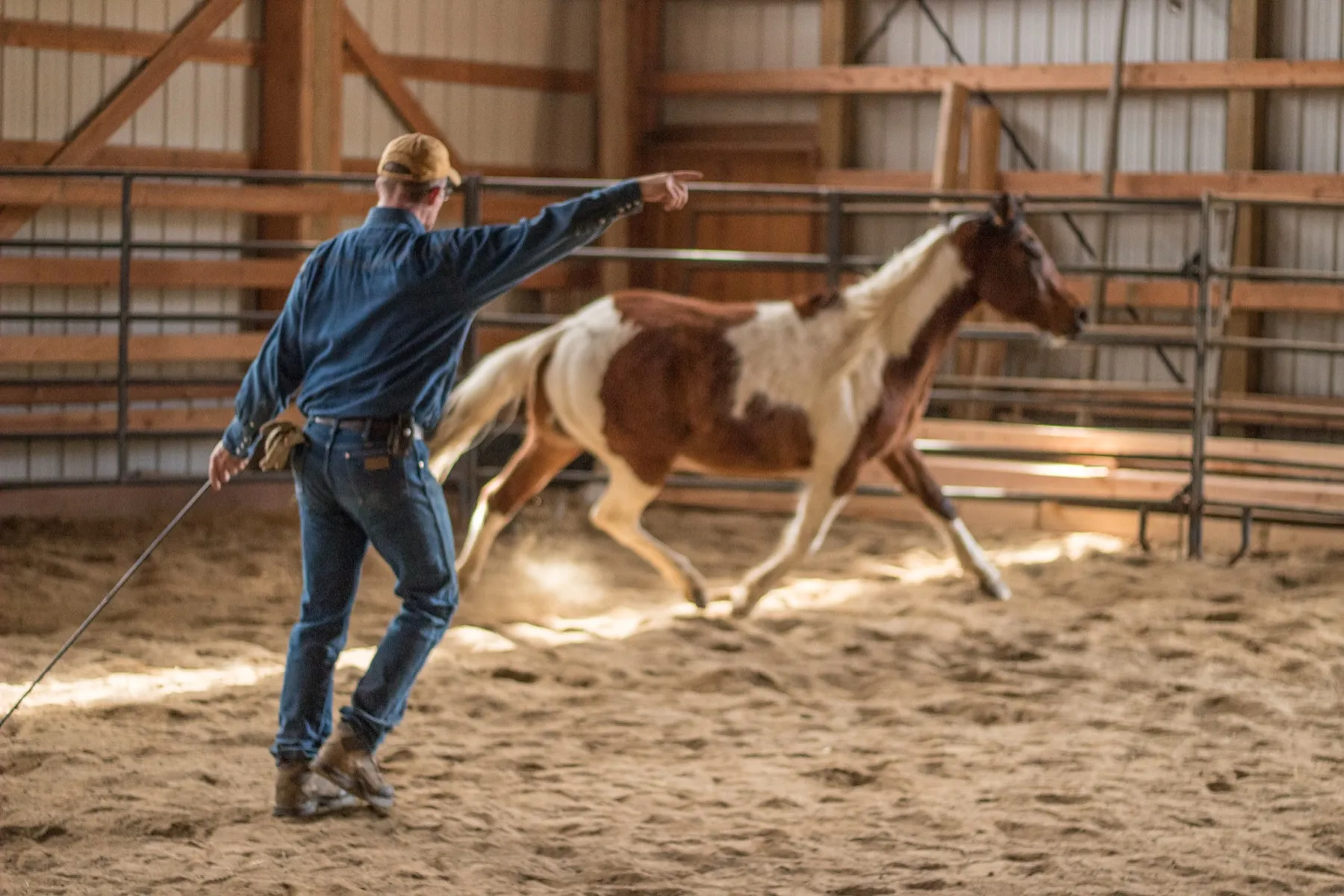 Roley Training Horses