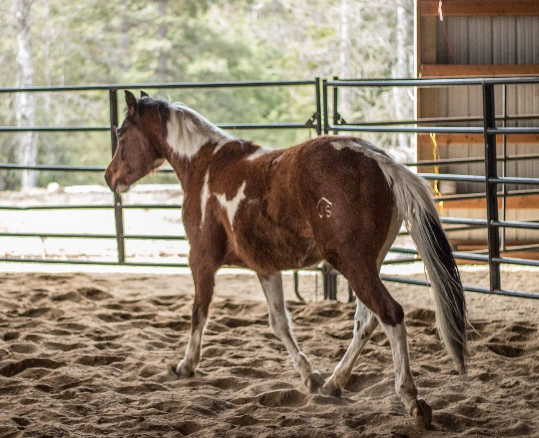 Western Pleasure Guest Ranch