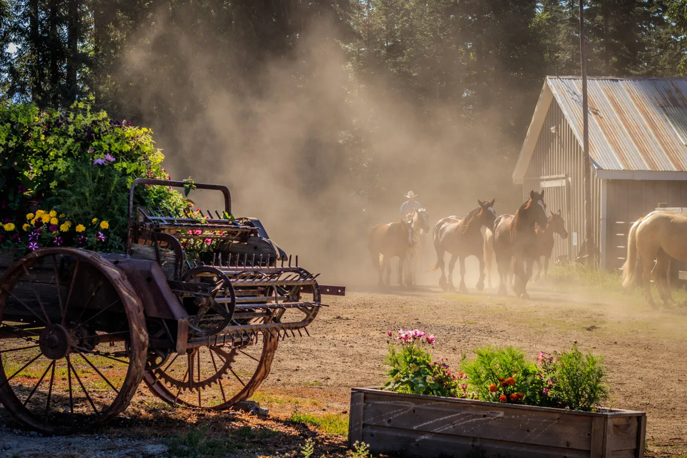 A Summer of Fun on the Ranch