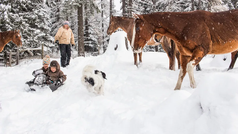 Winter Ranch Life