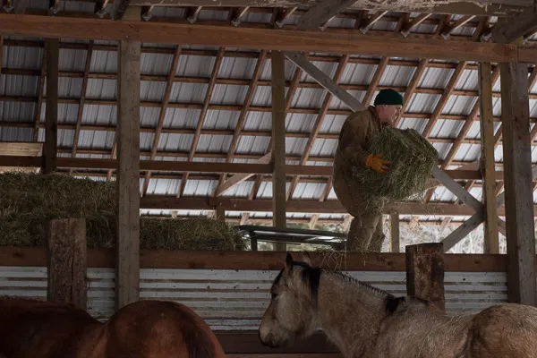 Brad feeding the ranch horses
