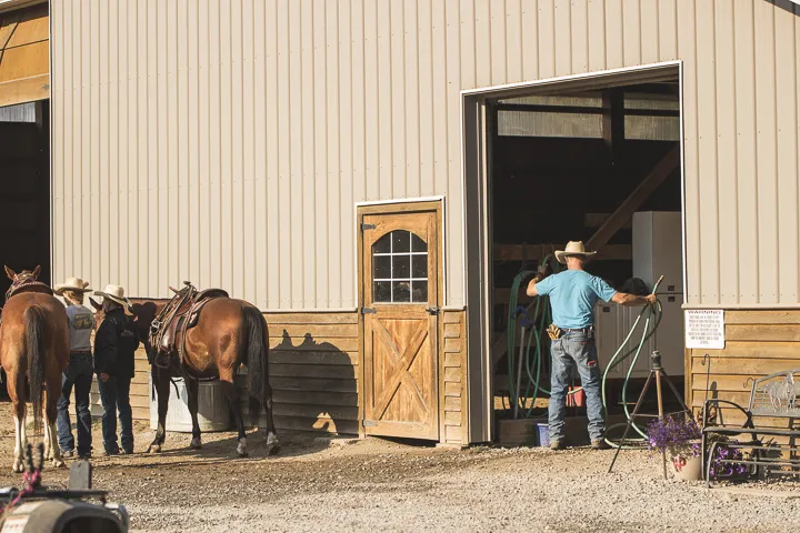 Roley at Western Pleasure Guest Ranch