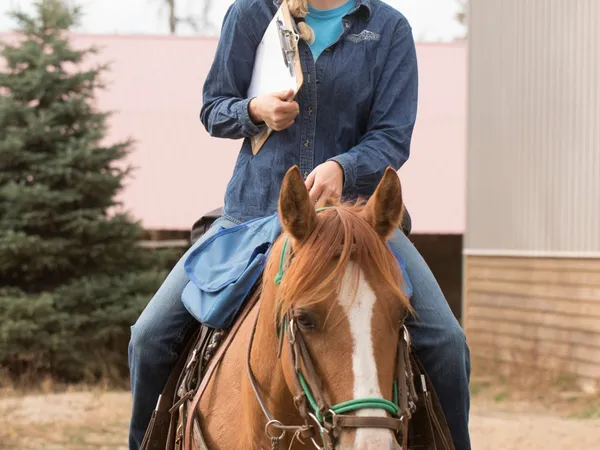 Cowgirl wearing glasses and holding a clipboard smiling and riding a dun Quarter Horse Mare