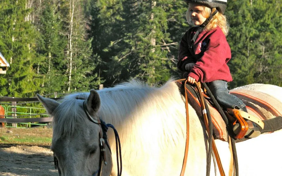 My Little Cowgirl
