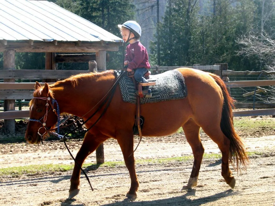 My Little Cowgirl