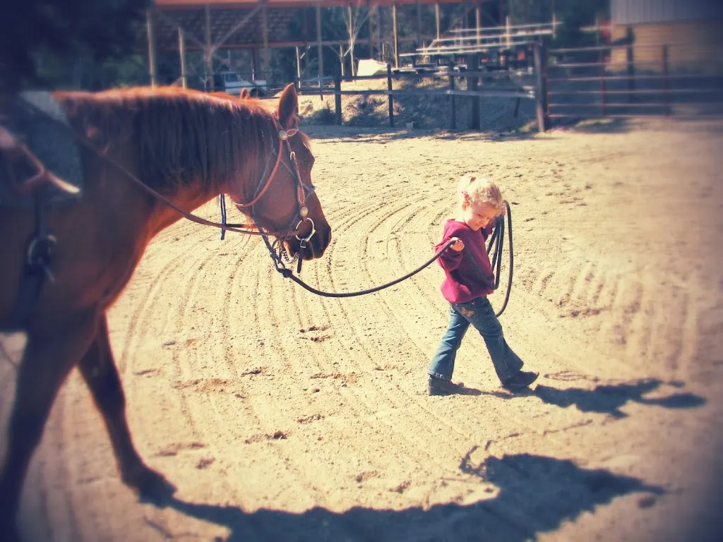 My Little Cowgirl