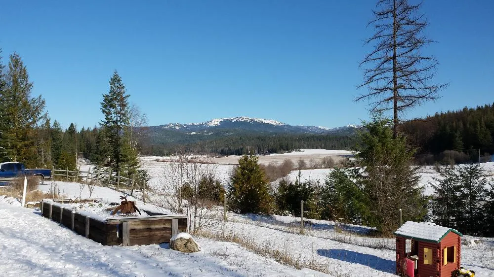 A Sunny November View