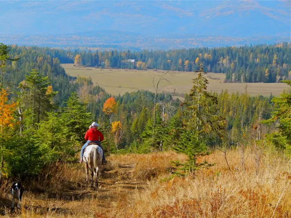 A View of the Ranch
