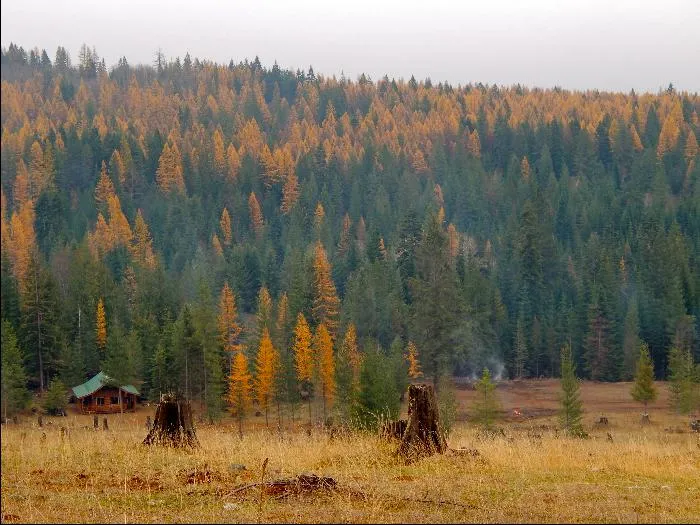 A view of the cabin and the Cabinet Mountain Range