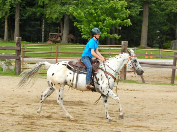 A young rider in a helmet lopes an Appaloosa in the arena