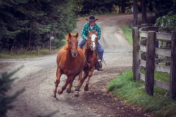 A wrangler on horseback brings a loose horse in along the ranch road