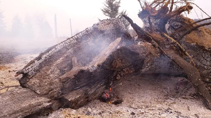 Burning