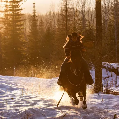 woman loping horse through the snow with warm glow sunset light behind