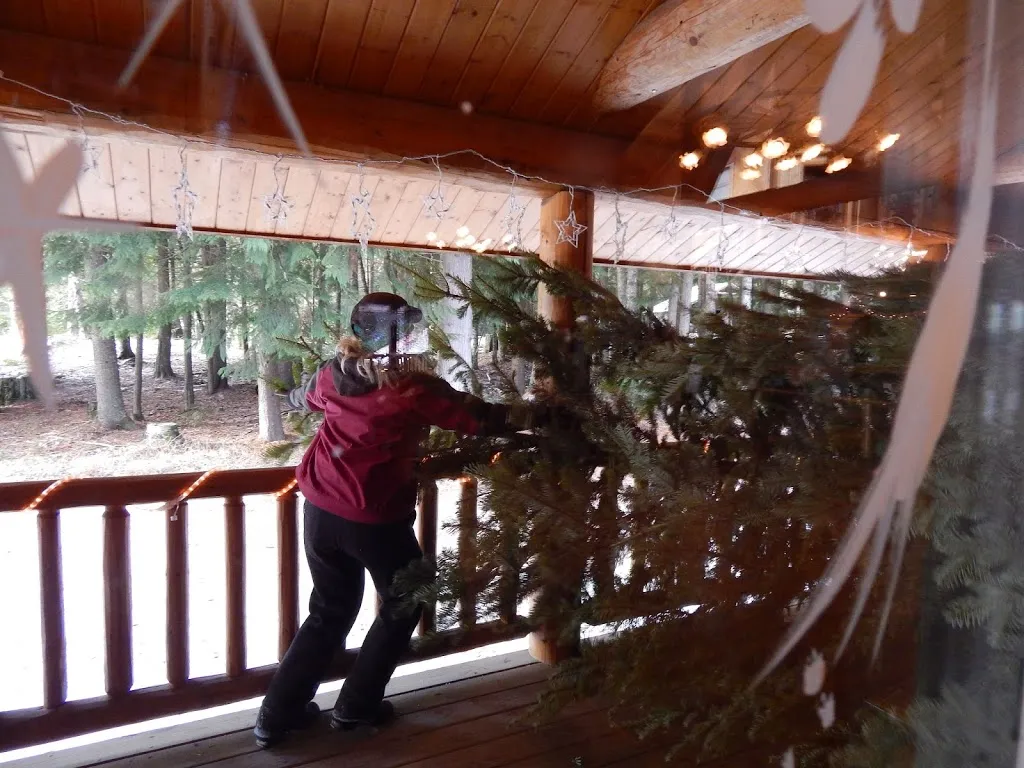 Oh Christmas Tree, Oh Christmas Tree...You Are REALLY Big!