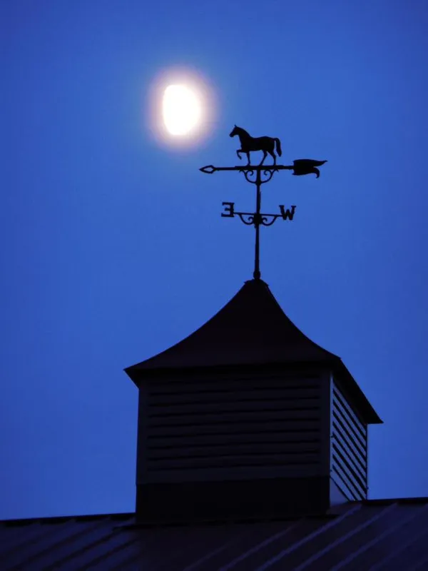 A horse weathervane on a cupola under a full moon