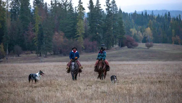 cowboy and cowgirl horseback riding across a field on an Idaho dude ranch with two dogs in front of them.