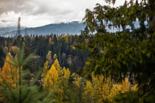 Forest and mountains in Fall colors with a tiny cabin on the mountain in the distance