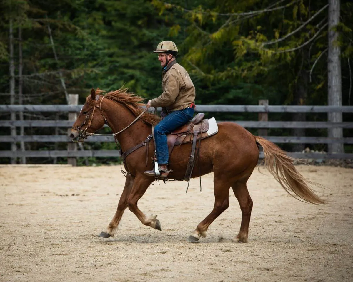 Man with a helmet on riding a sorrel horse in an arena