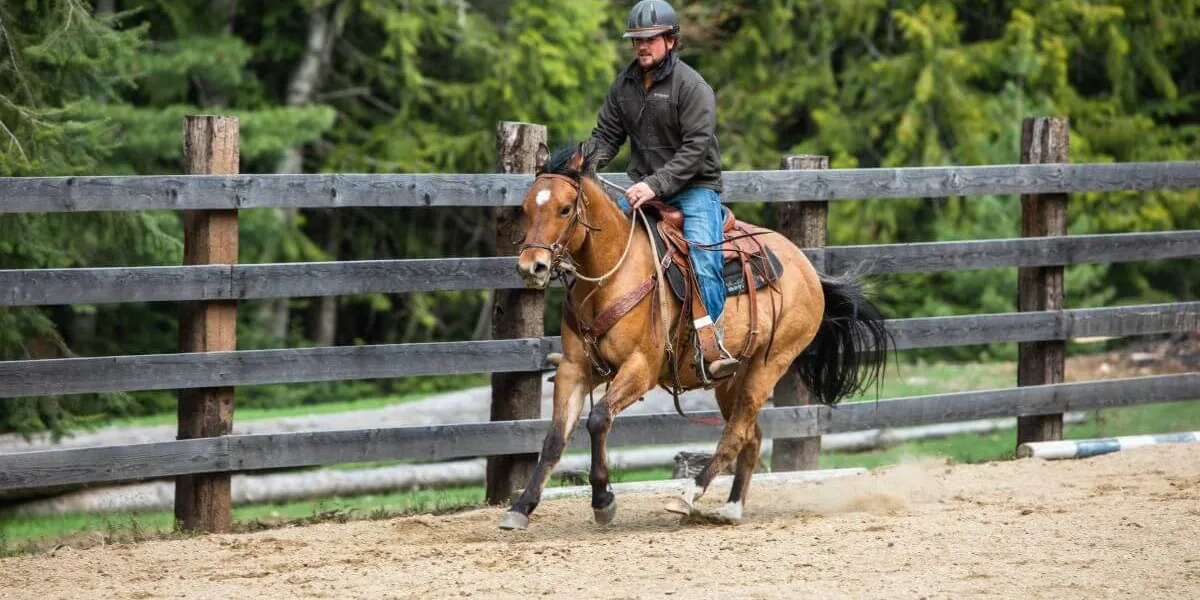 Man loping on a buckskin horse in an arena