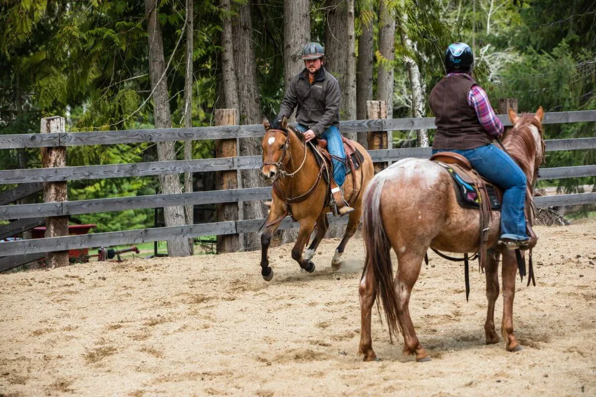 Man loping on a buckskin horse in an arena and woman sitting on a red roan horse