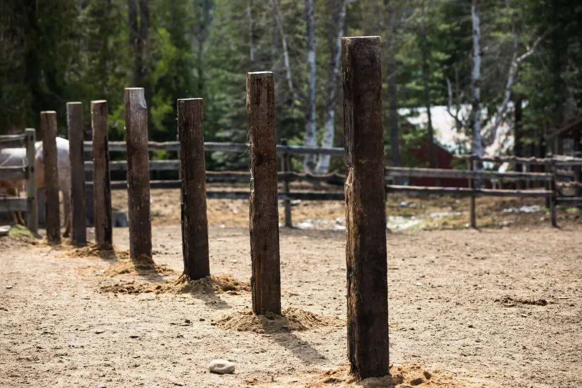 Fence posts in the ground with no fence rails