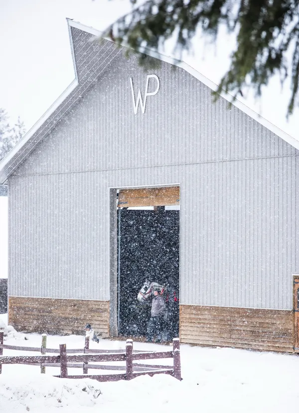 Barn in the snow storm with man and horse standing in doorway