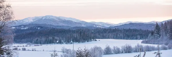 Western Pleasure Guest Ranch view of snow covered meadow