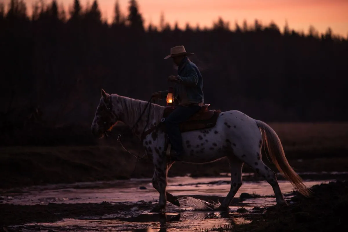Western Pleasure Guest Ranch fall horseback riding horse and rider crossing a creek