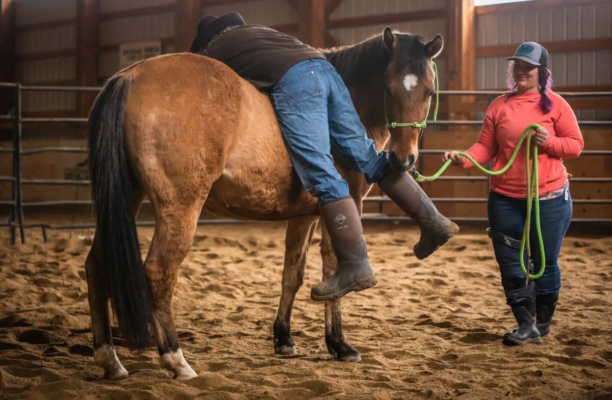 training colts