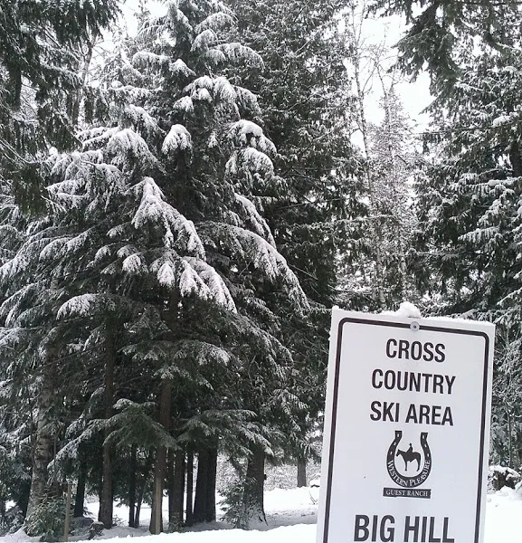 Cross Country Skiing